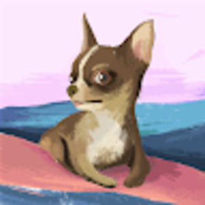 Meet your Posher, Kailey